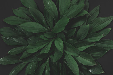 Similar image 16926081