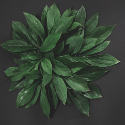 Similar image 16926118