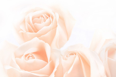 Similar image 16933940