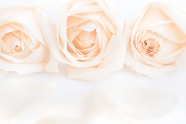 Similar image 16933813