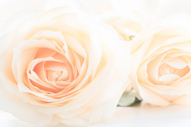 Similar image 16933827