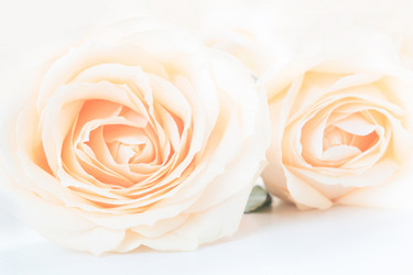 Similar image 16933846