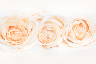 Similar image 16933876