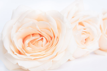 Similar image 16934029