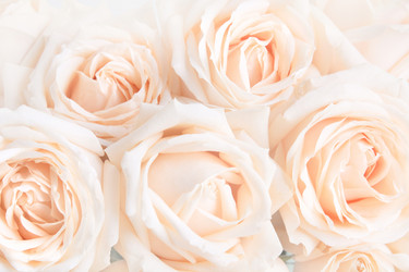 Similar image 16934504