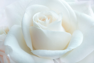 Similar image 16934546