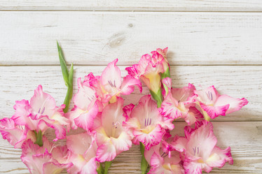 Similar image 16934720