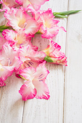 Similar image 16934721