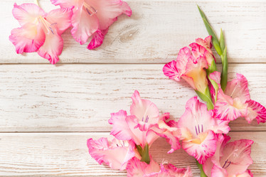 Similar image 16934722