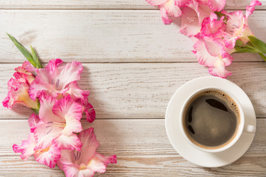 Similar image 16934727