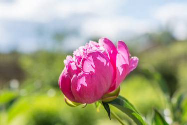 Similar image 16934741