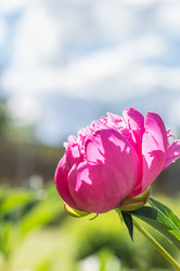 Similar image 16934742