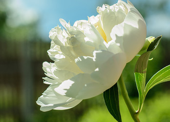 Similar image 16934743