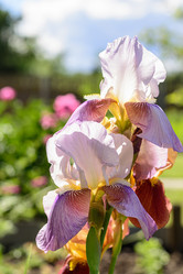 Similar image 16934744