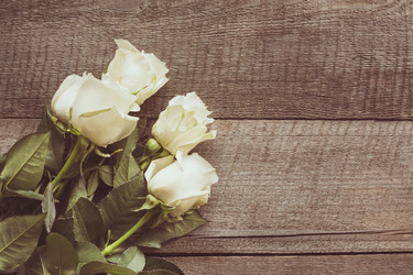 Similar image 16935638