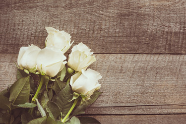 Similar image 16935640