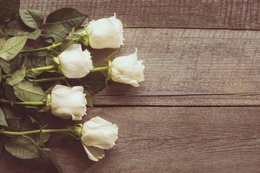 Similar image 16935642