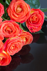 Similar image 16935648