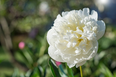 Similar image 16935651