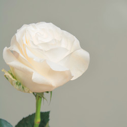 Similar image 16935655