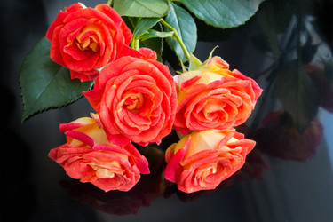 Similar image 16935670