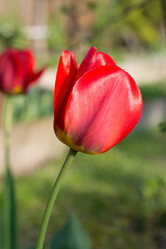 Similar image 16935591