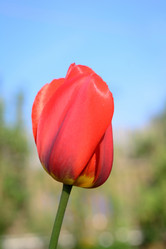 Similar image 16935605