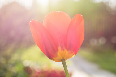 Similar image 16935625