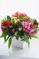 Similar image 16935637