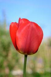 Similar image 16935643