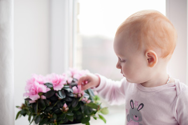 Similar image 16974924