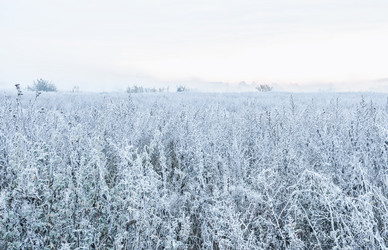 Similar image 16926580