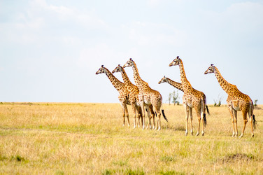 Similar image 17544089