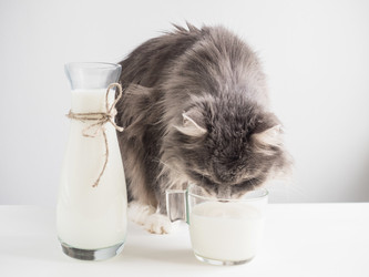 Similar image 16927384