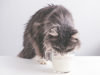 Similar image 16927385