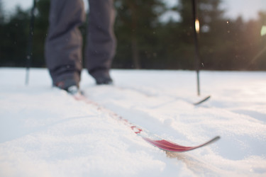 Similar image 16924033