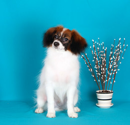 Similar image 16926957