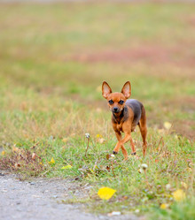 Similar image 16926960