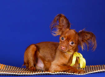 Similar image 16926962