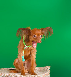 Similar image 16926970