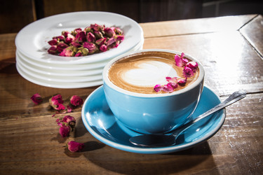 Similar image 17245098