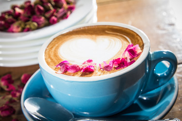 Similar image 17245104