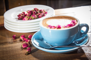 Similar image 17245112