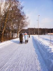 Similar image 17244445