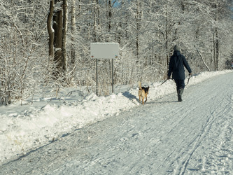 Similar image 17244467