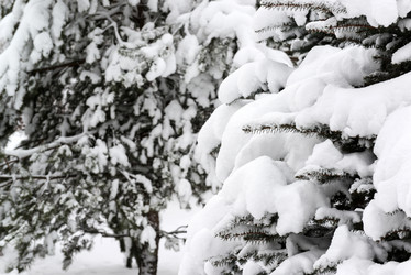 Similar image 16977358