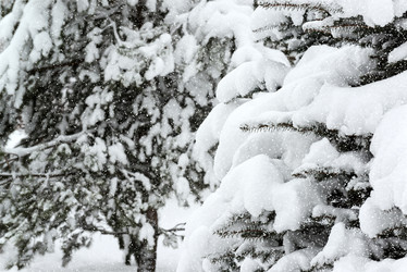 Similar image 16977360