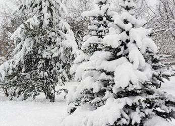 Similar image 16977362