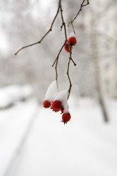 Similar image 16924885