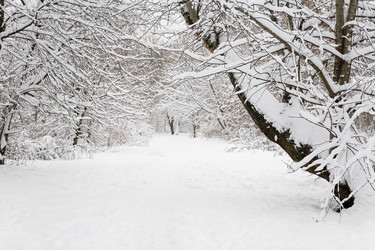 Similar image 16925446